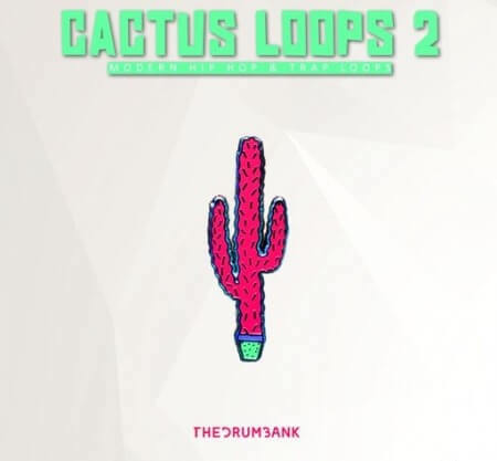 Dynasty Loops Cactus Loops 2 WAV